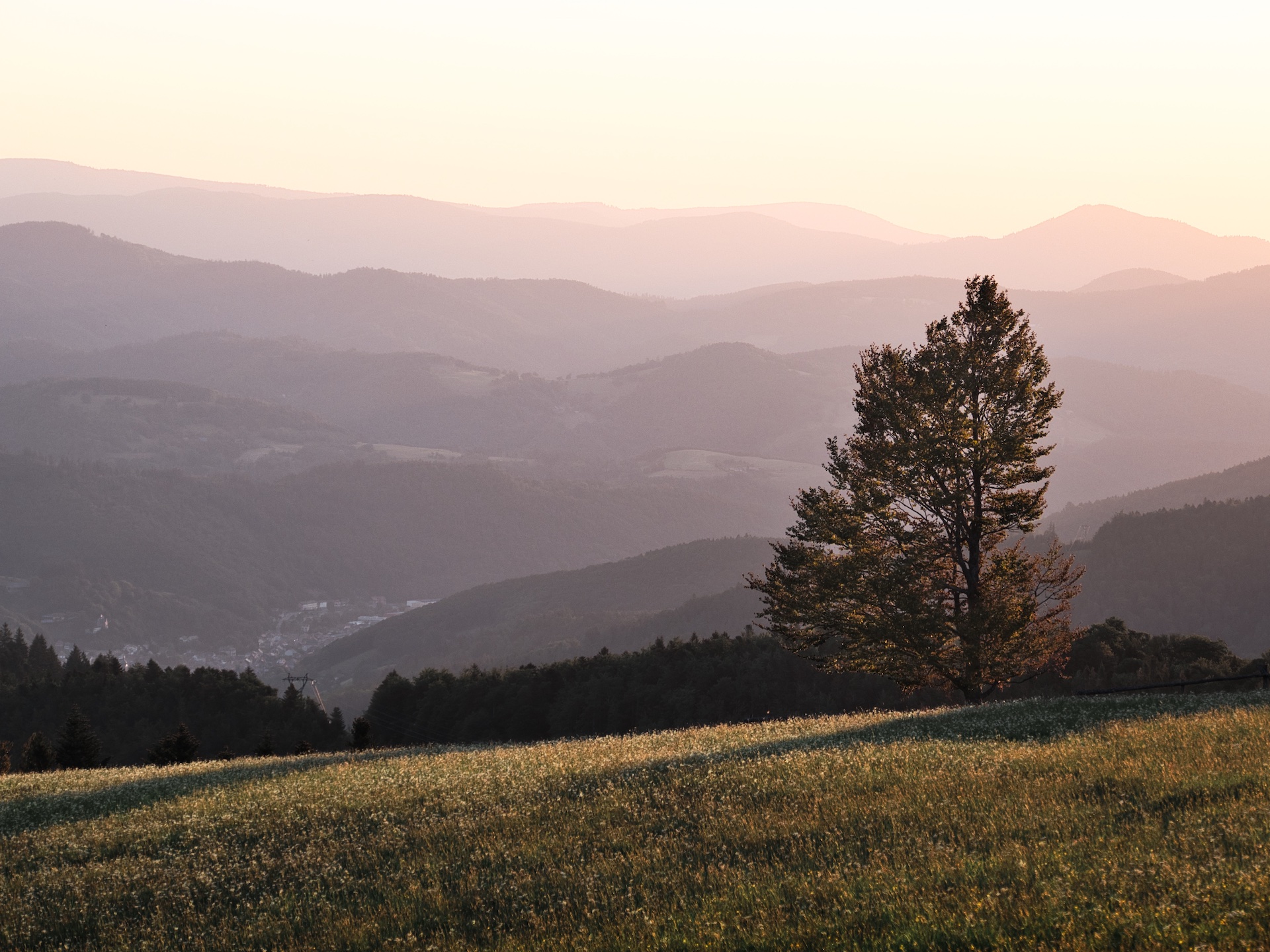Image manquante (vosges paysage )