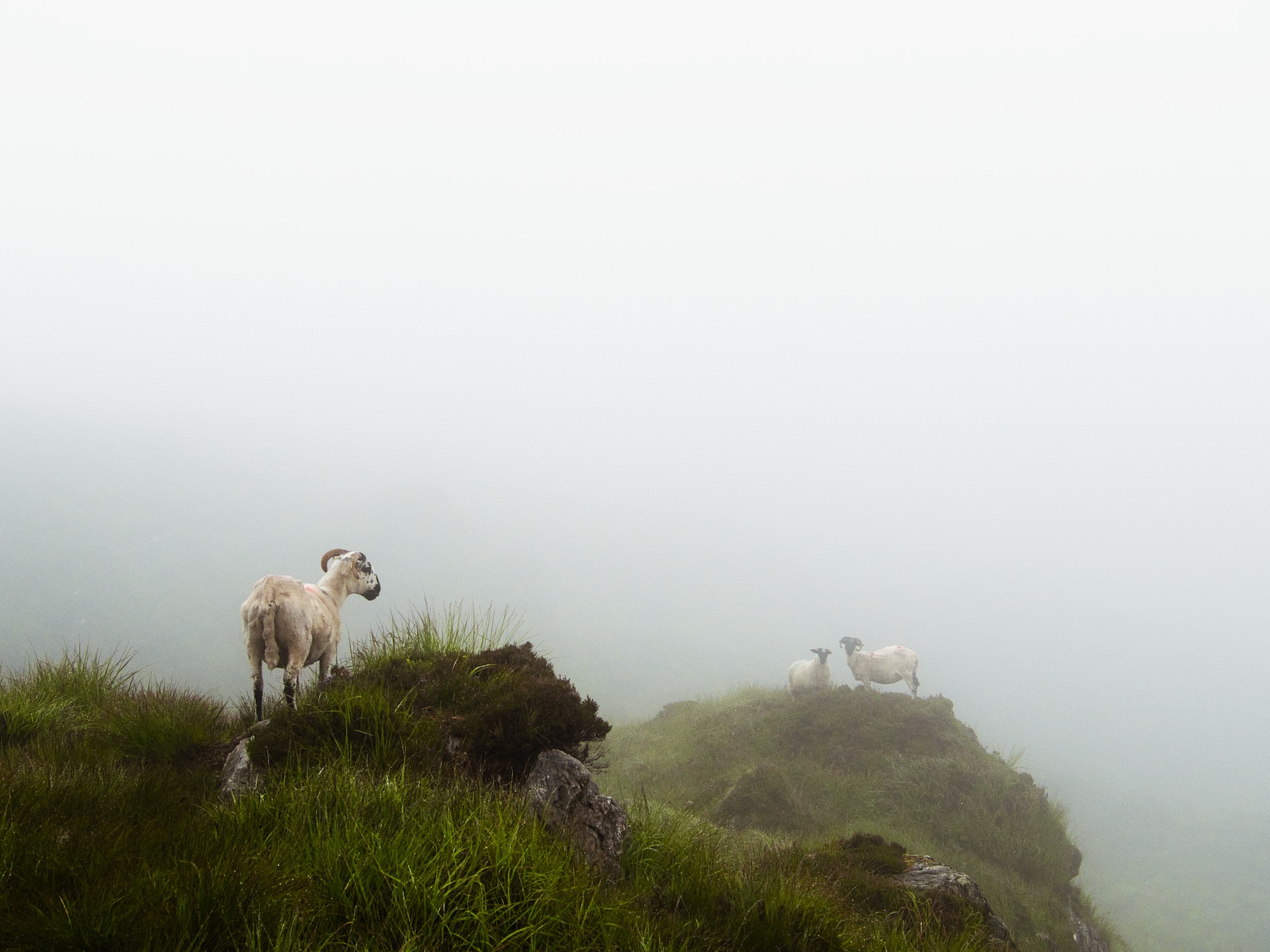 Image manquante (paysage irlande )